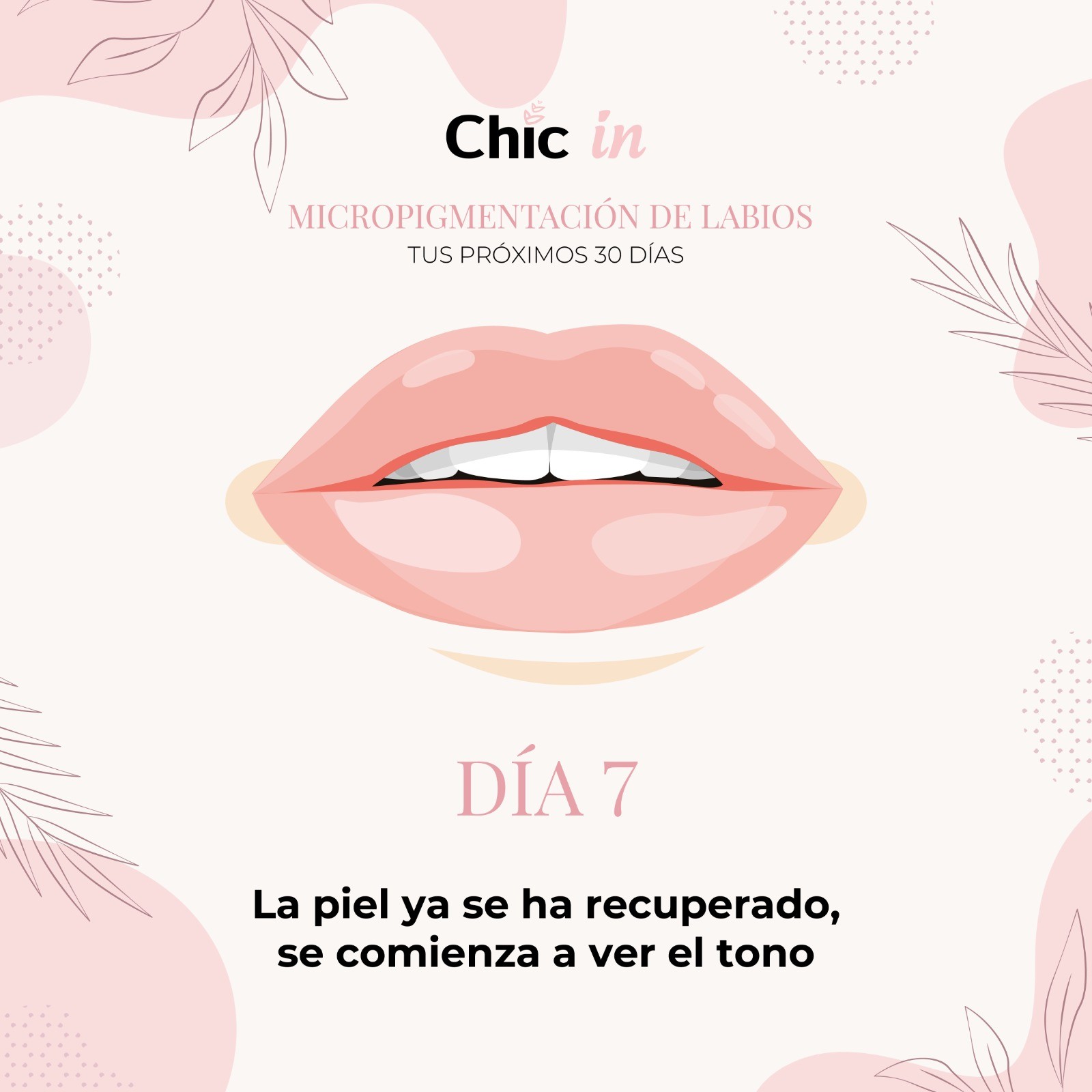micropigmentación de labios después de 7 días